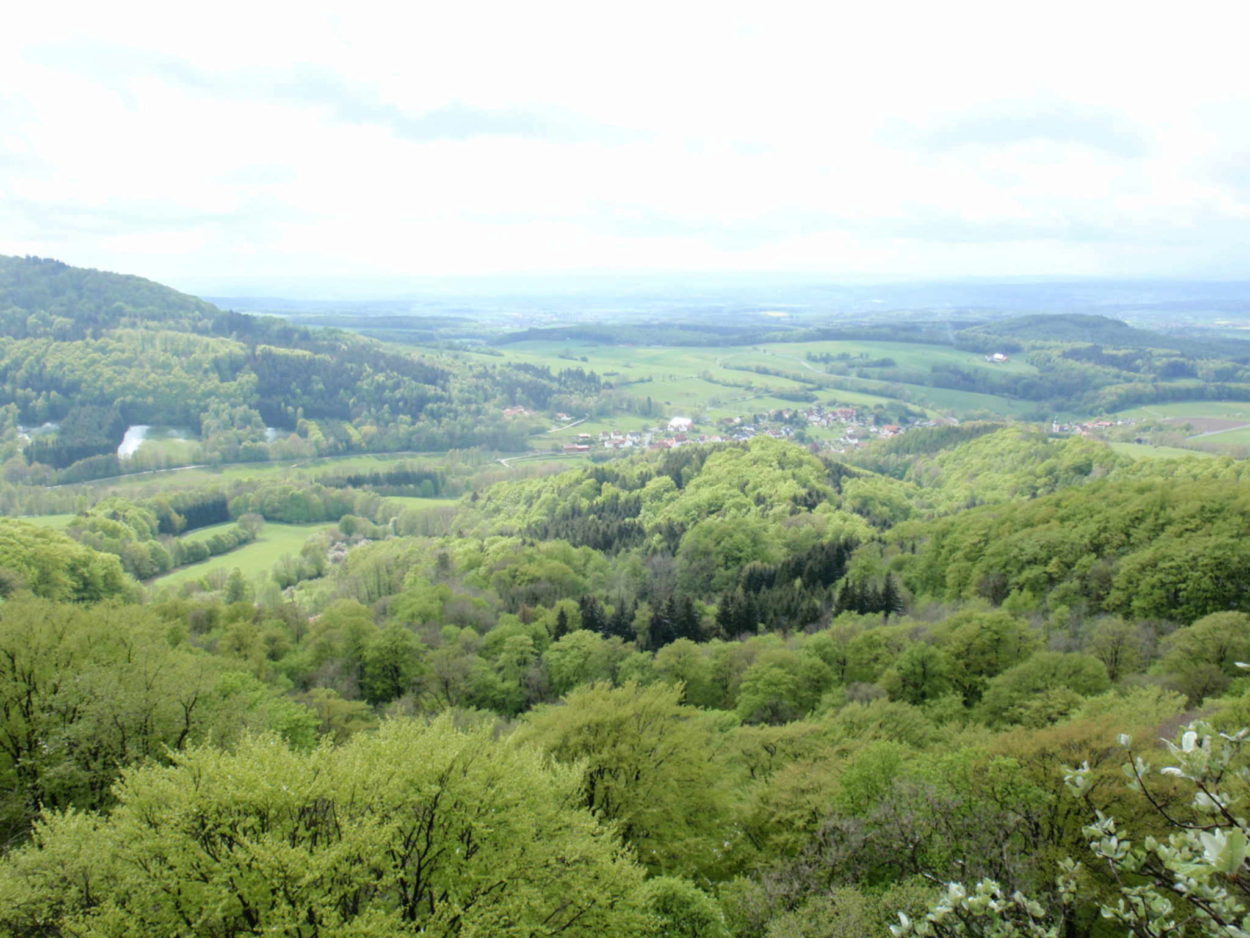 Mai-Exkursion in die Rhön 2019