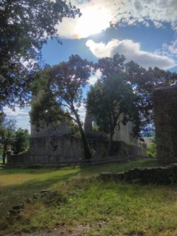 Die Hauptburg ist durch einen Abschnittsgraben von der Vorburg getrennt.