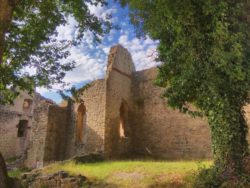 Neben den historischen Aufschlüssen lädt die Homburg auch als ein idyllischer Ort zum Verweilen ein.