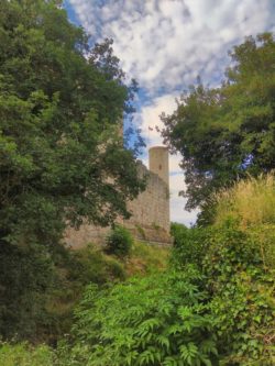 … erreichten wir die Homburg bei Gössenheim.  Blick auf den Turm der Vorburg.