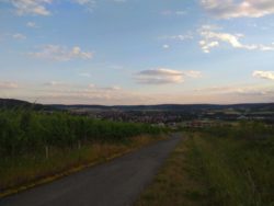 Blick auf Retzbach und Zellingen. Fern im Hintergrund ist die ICE-Trasse, die Würzburg mit Fulda verbindet, zu sehen.