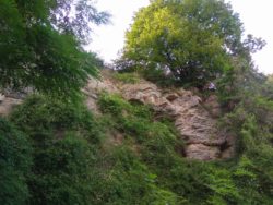 Vorbei an geologischen Aufschlüssen ….