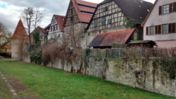 Die Stadtmauer im Winter, wenn der Bewuchs geringer ausfällt.